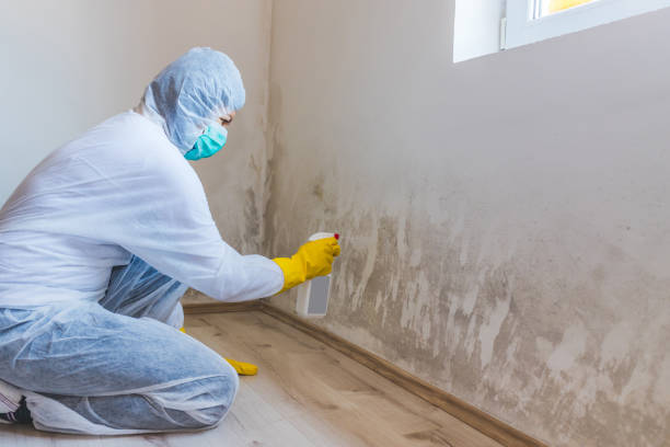 Licensed Mold Remediation service in Midland, VA - 24 Hour Mold Removal