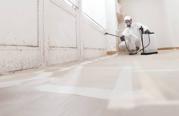 24/7 Emergency Mold Remediation experts in Midland, VA