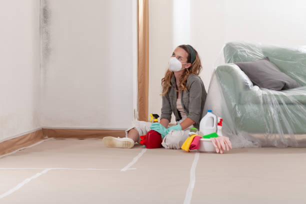 Reliable Mold Remediation contractor in Midland, VA by 24 Hour Mold Removal